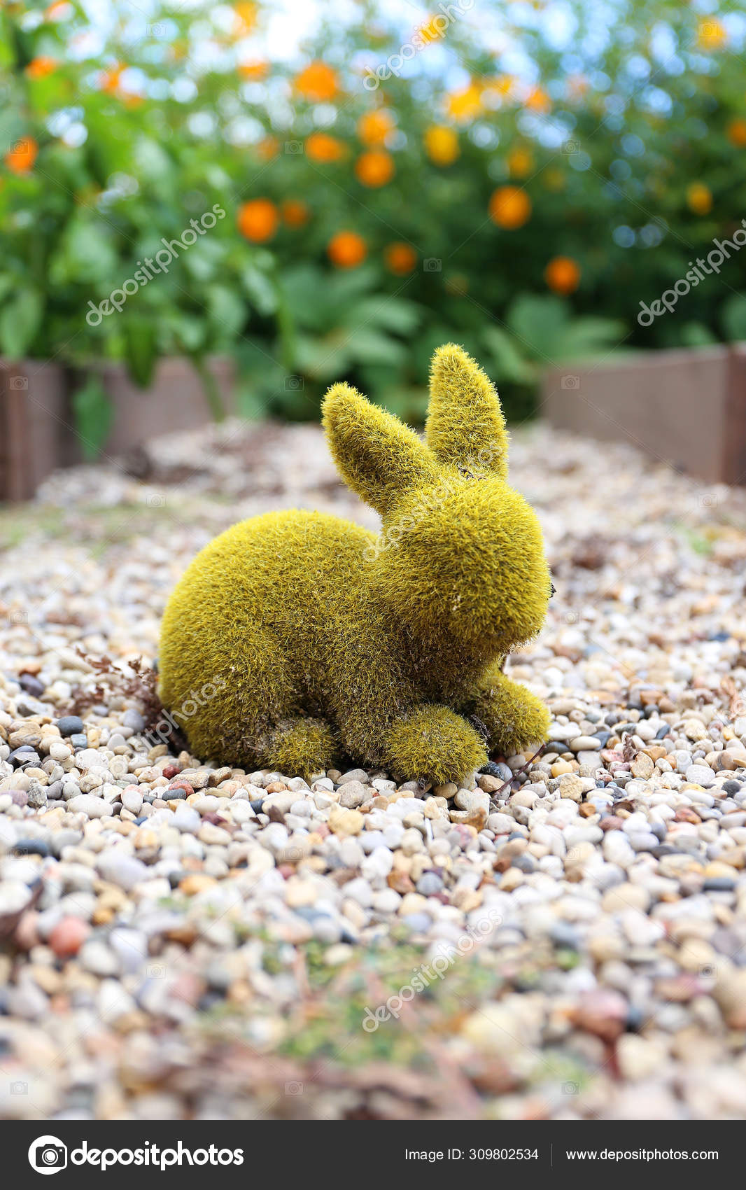 Green Moss Covered Rabbit Statue Decorating Garden of Orange Cos